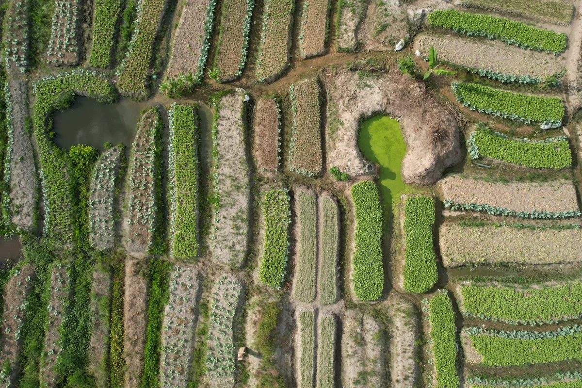 Cultivated fields worked as part of EagleNet's agribusiness operations