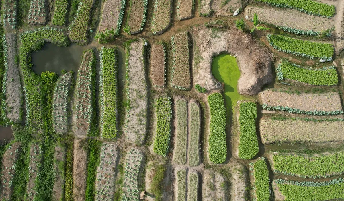 Cultivated fields across EagleNet's operating region